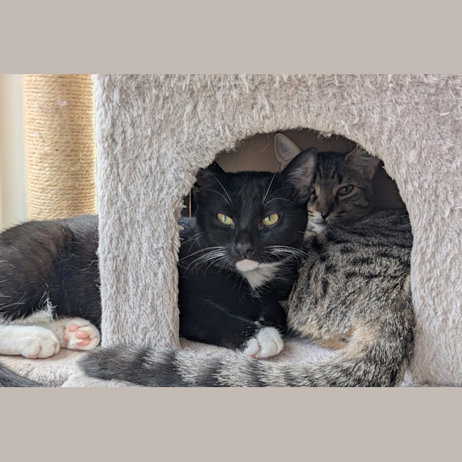 Photo of Millie & Zoe