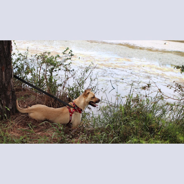 Photo of Lexi