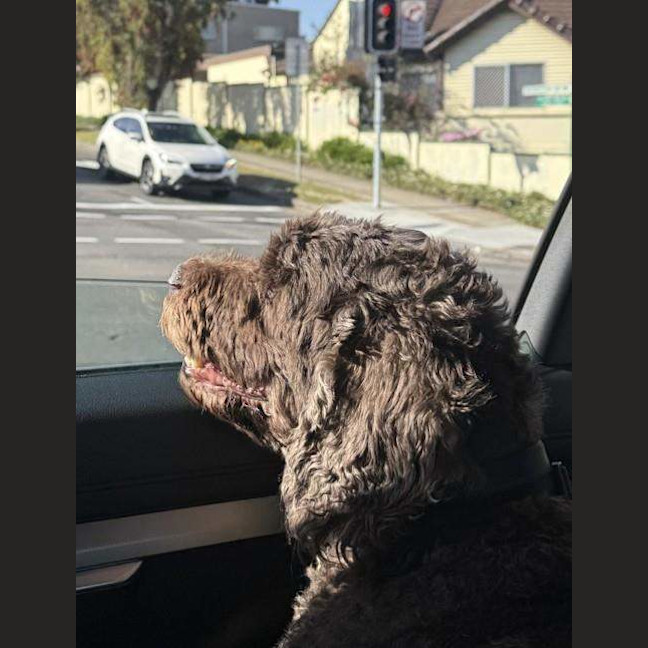 Photo of Bently