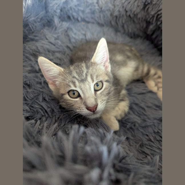 Photo of Hugo Scotty