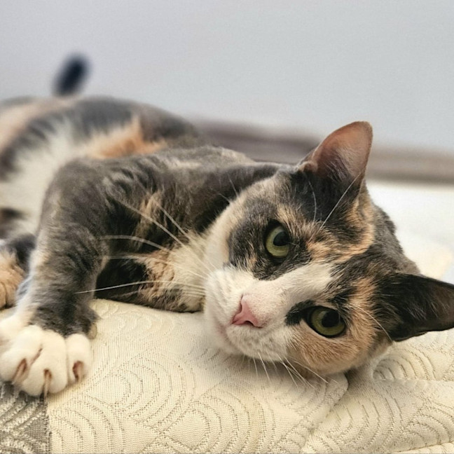 Photo of Kiki