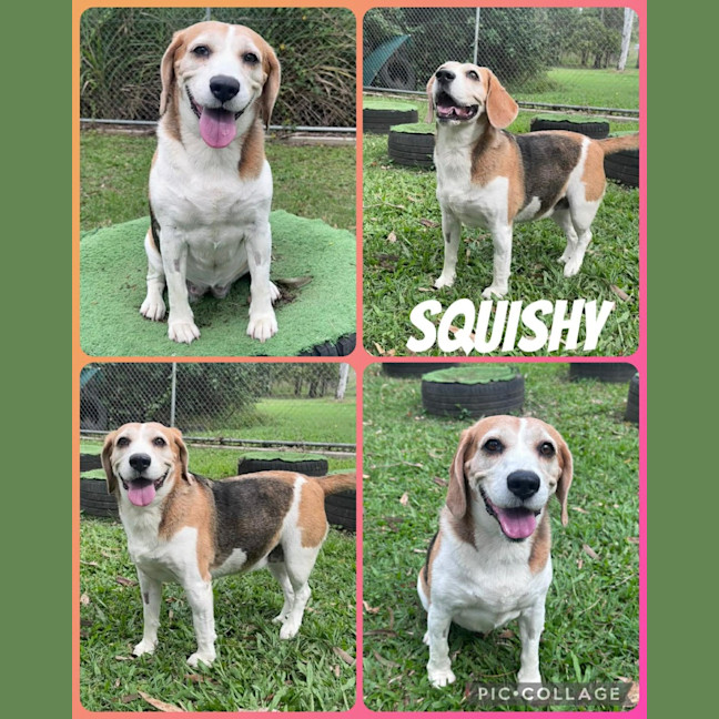 Photo of Squishy