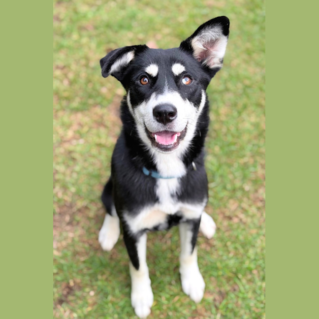 Photo of Yindi 