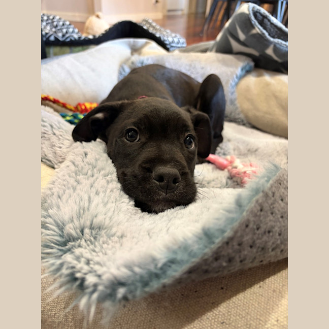Photo of Betty