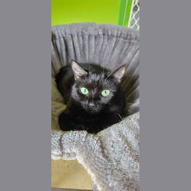 Photo of Bridget
