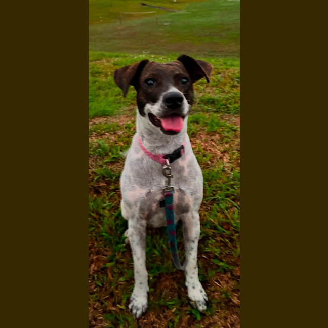 Photo of Billie Jean