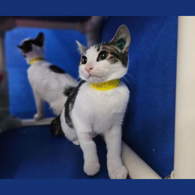 Photo of Annie Belle