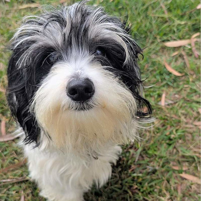 Photo of Benny