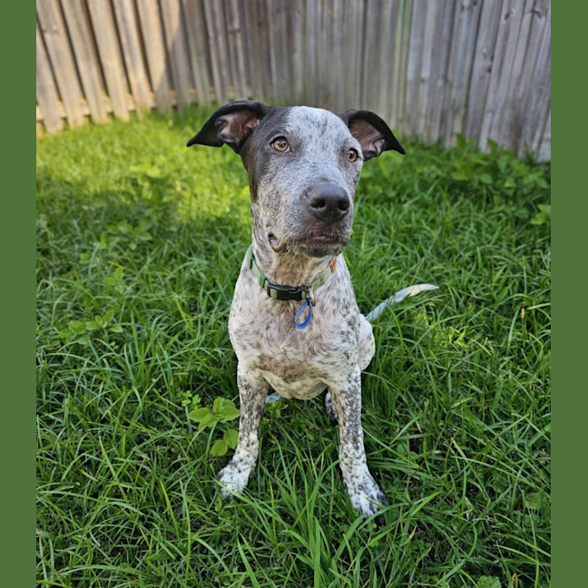 Photo of Wallace
