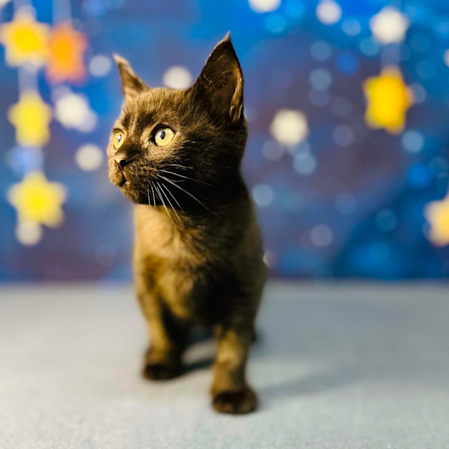 Photo of Barry   Located In Preston 