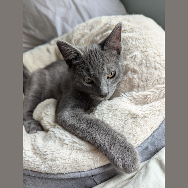 Photo of Niles