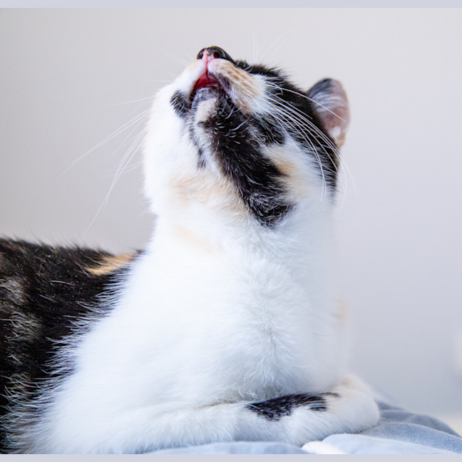 Photo of Molly