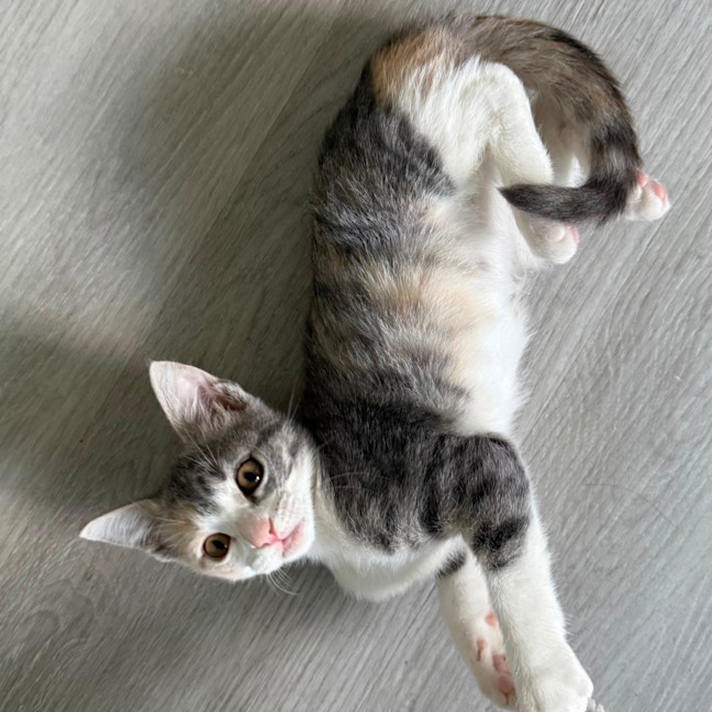 Photo of Georgia 🍒