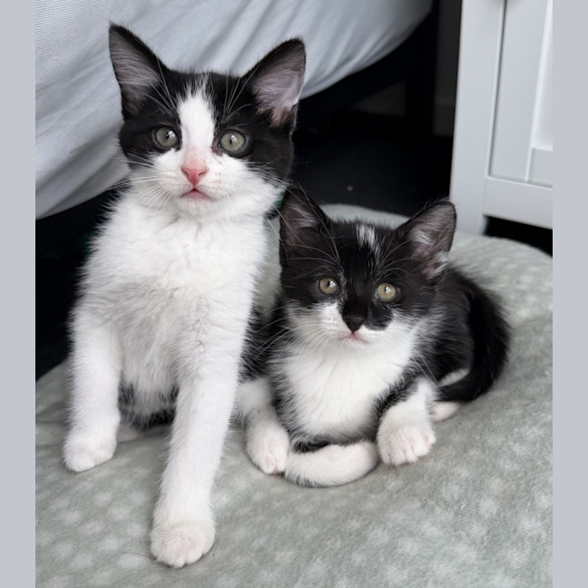 Photo of Tekapo 💙