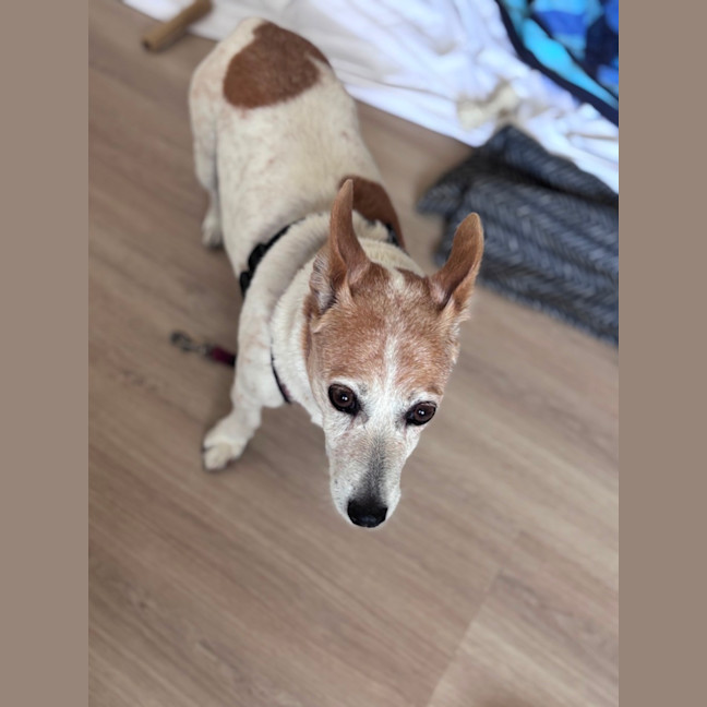 Photo of Tiara And Choppa