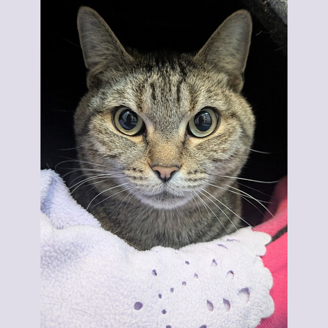 Photo of Roxy
