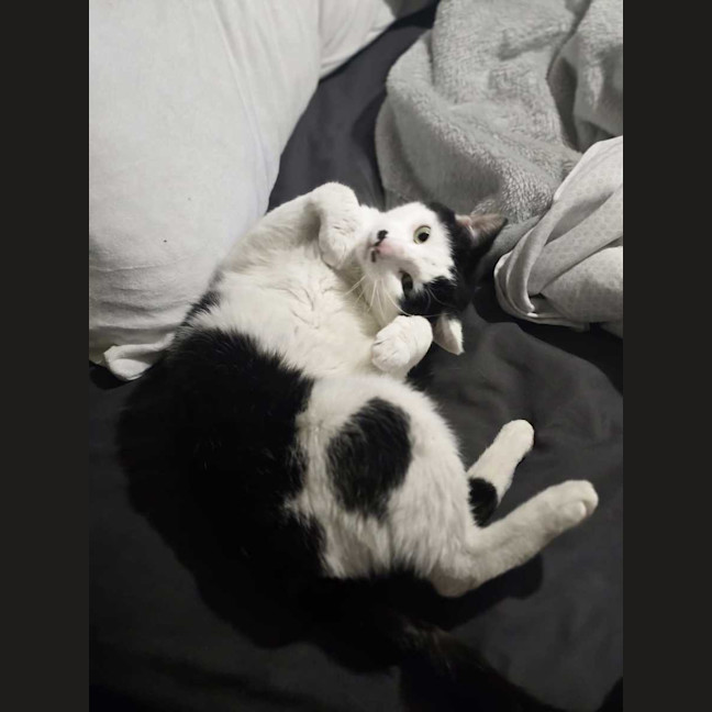 Photo of Frank
