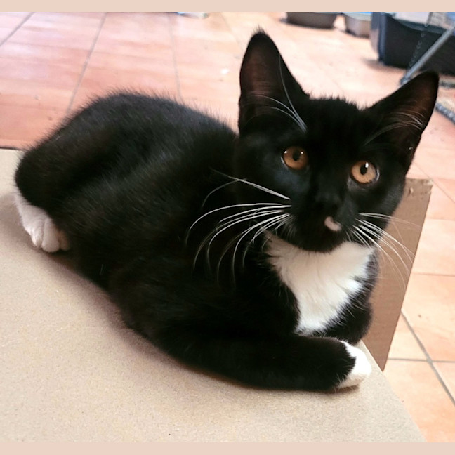 Photo of 💕 Rachel Green 💕