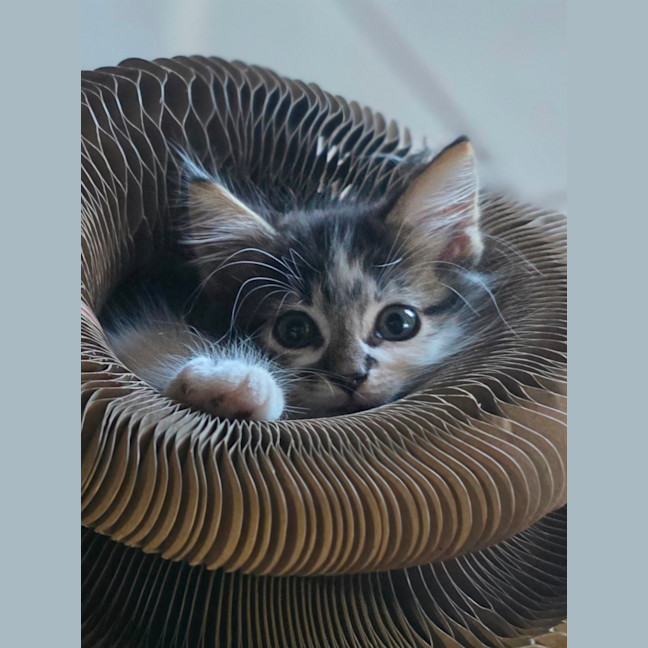 Photo of Murphy