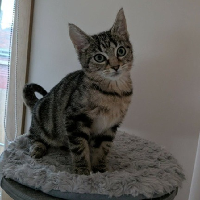Photo of Tabitha