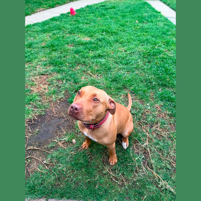 Photo of Sweetie