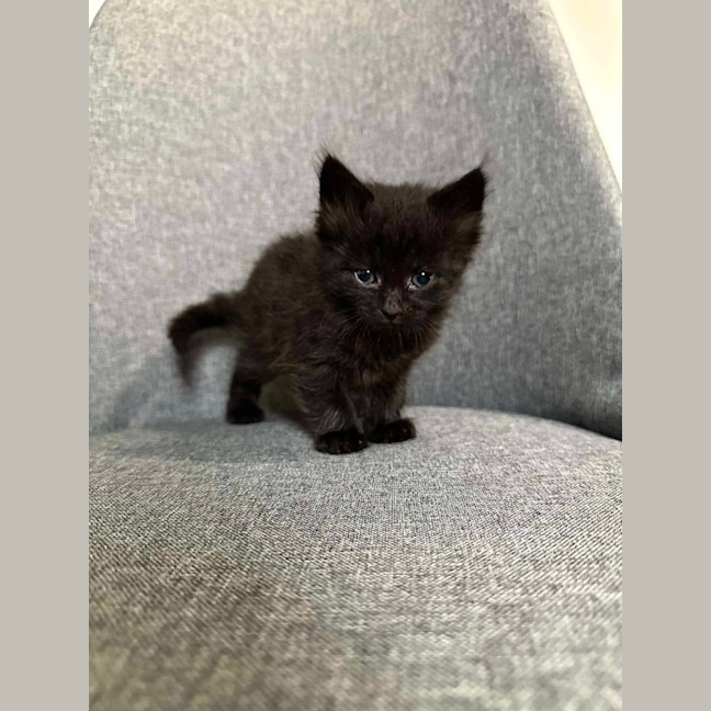 Photo of Spud & Squid