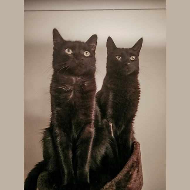 Photo of Cas & Frankie