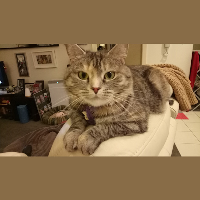 Photo of Ginny