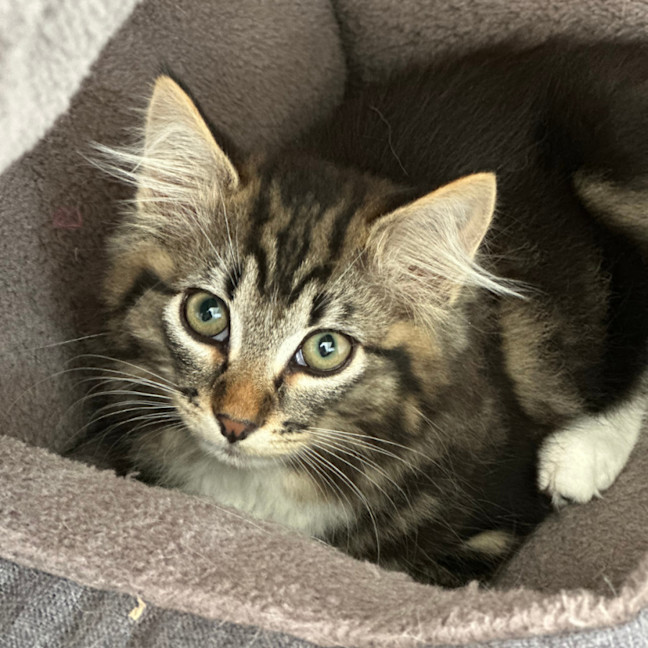 Photo of Edmond