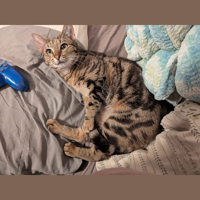 Photo of Holden