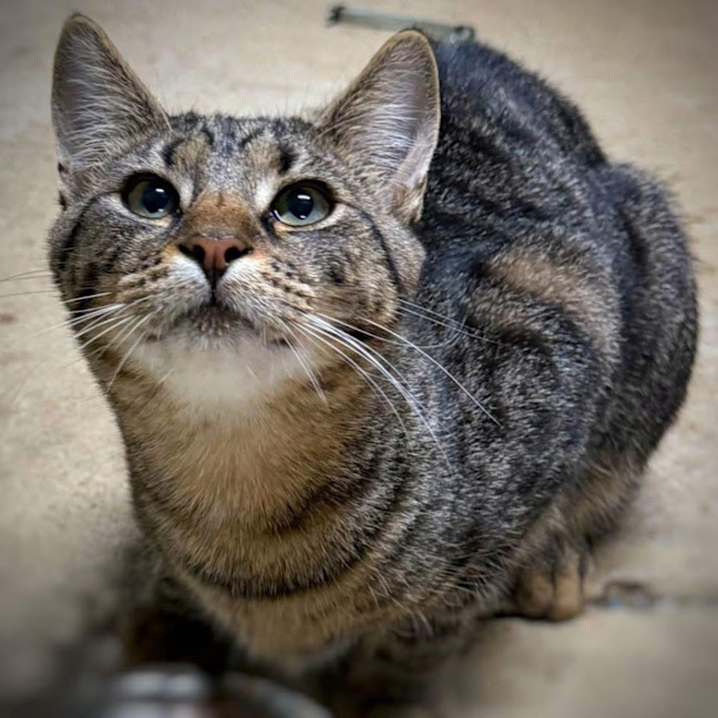 Photo of 11692   Olaf