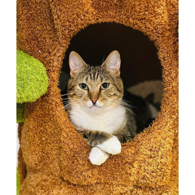 Photo of 11495   Sprout