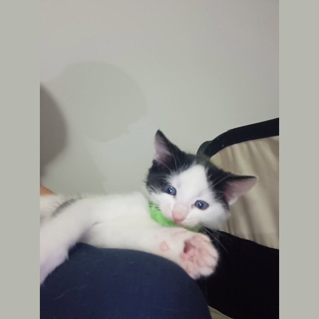 Photo of Charlie