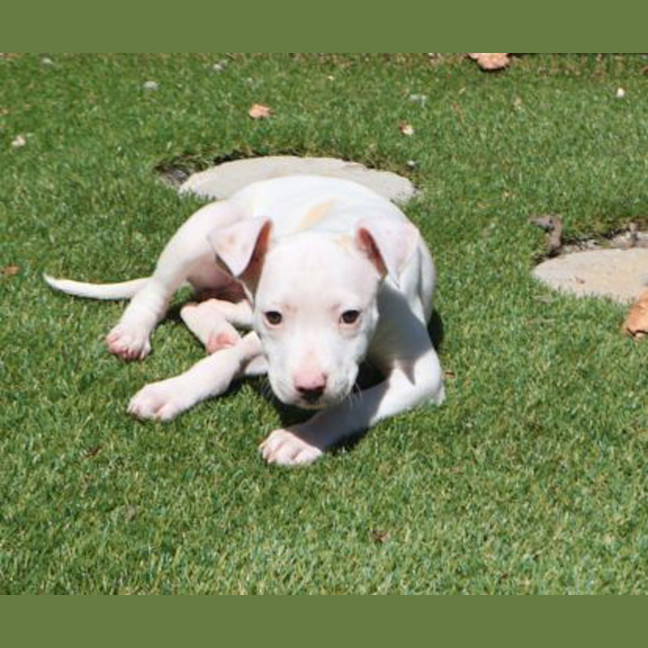 Photo of Lena