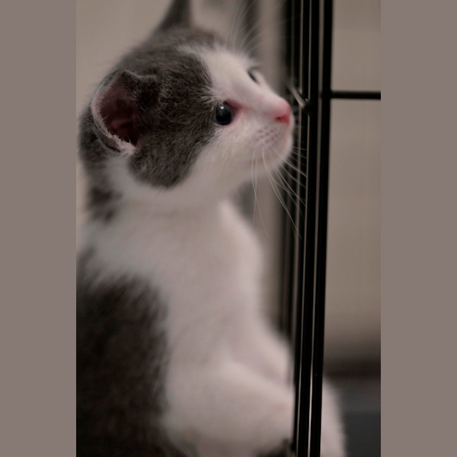 Photo of 💙 Concrete 🤍