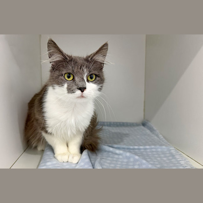 Photo of Elroy