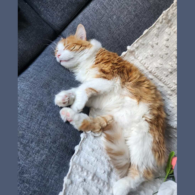 Photo of Jasper