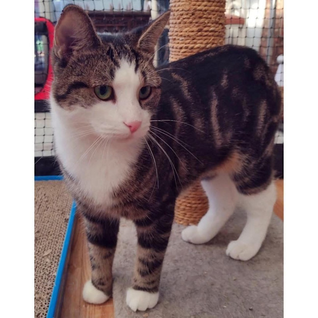 Photo of 12081   Lady