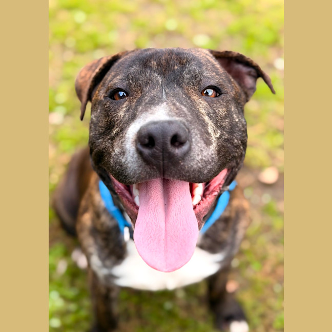 Photo of Tucker