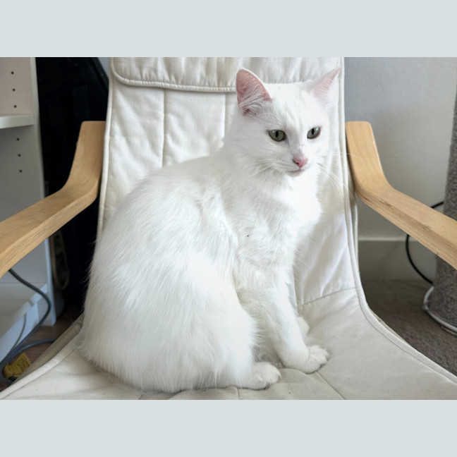 Photo of Yuki