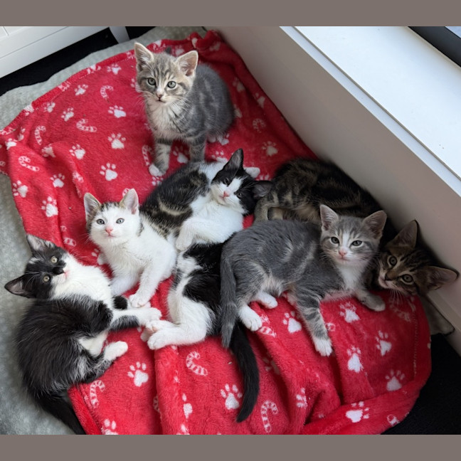 Photo of Wanaka 🌷🌷🌷