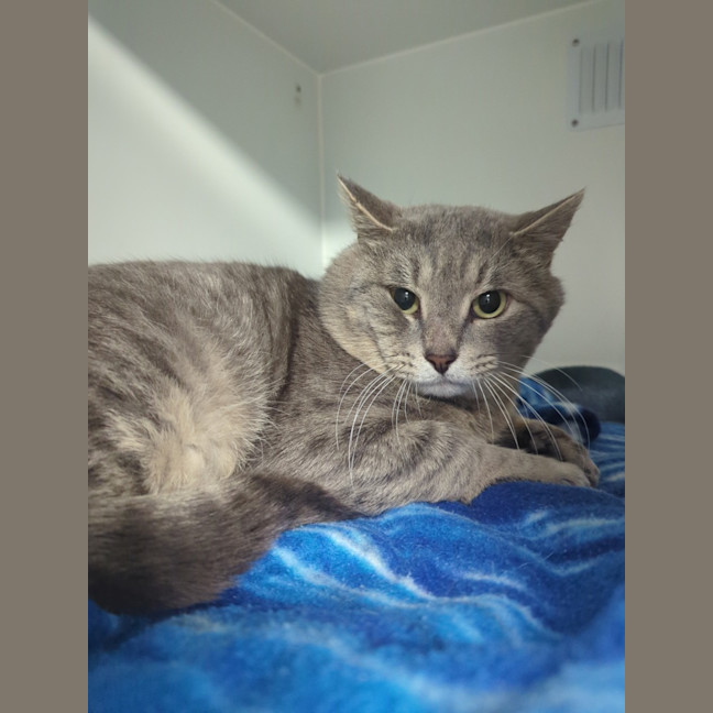 Photo of Storm 