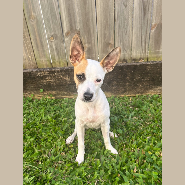Photo of Lily
