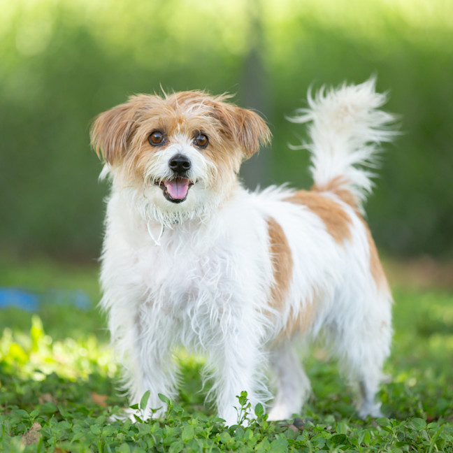 Photo of Heidi