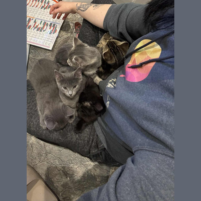 Photo of Dee   Located In Preston