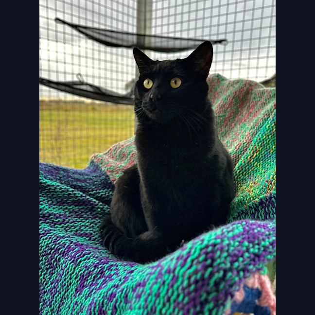Photo of Cody Winter 