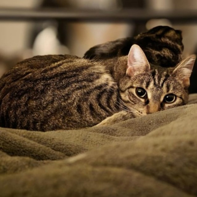 Photo of Spencer & Penny