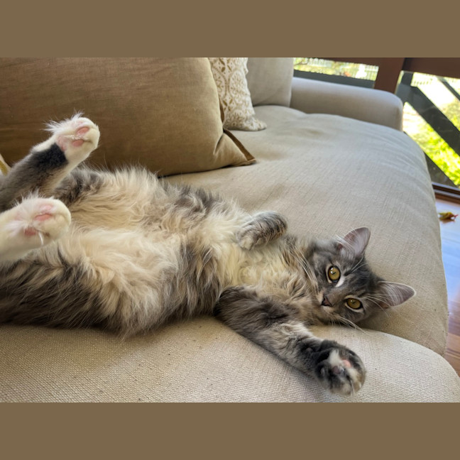 Photo of Wendy