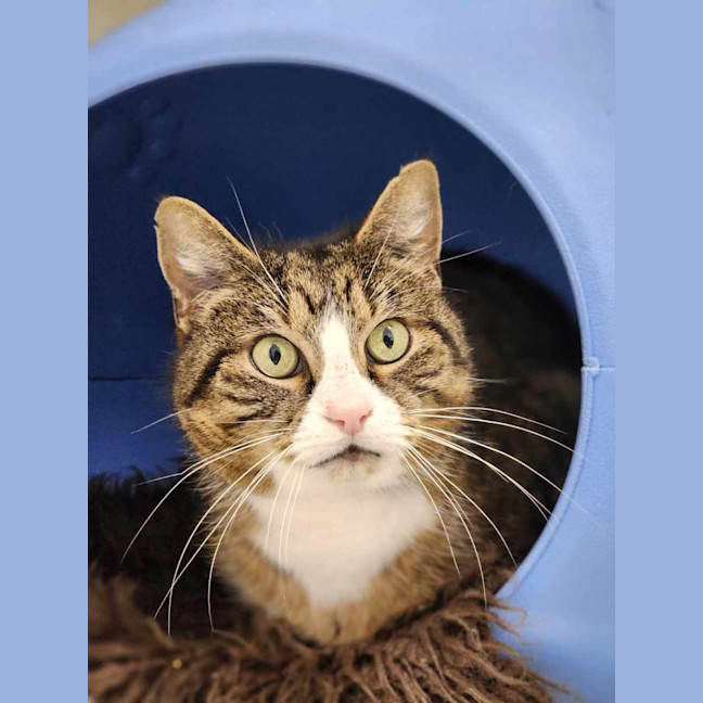 Photo of 🪕 Bruno 5422 🪕