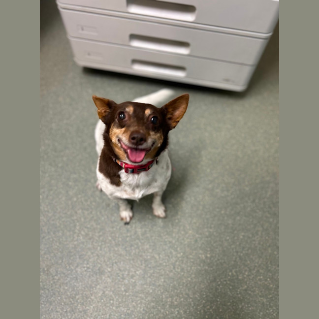 Photo of Buggerluggs